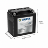 Аккумулятор Varta Powersports AGM TX16CL-B-BS 19Ah 270A (519 905 027)